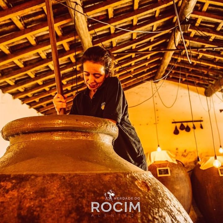 ROCIM AMPHORA Red 2020