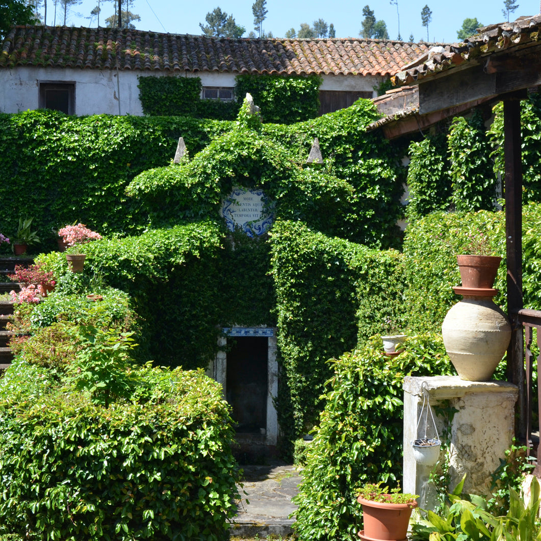 QUINTA DE FOZ DE AROUCE OLD VINES OF SANTA MARIA Red 2015